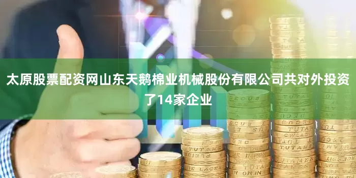 太原股票配资网山东天鹅棉业机械股份有限公司共对外投资了14家企业
