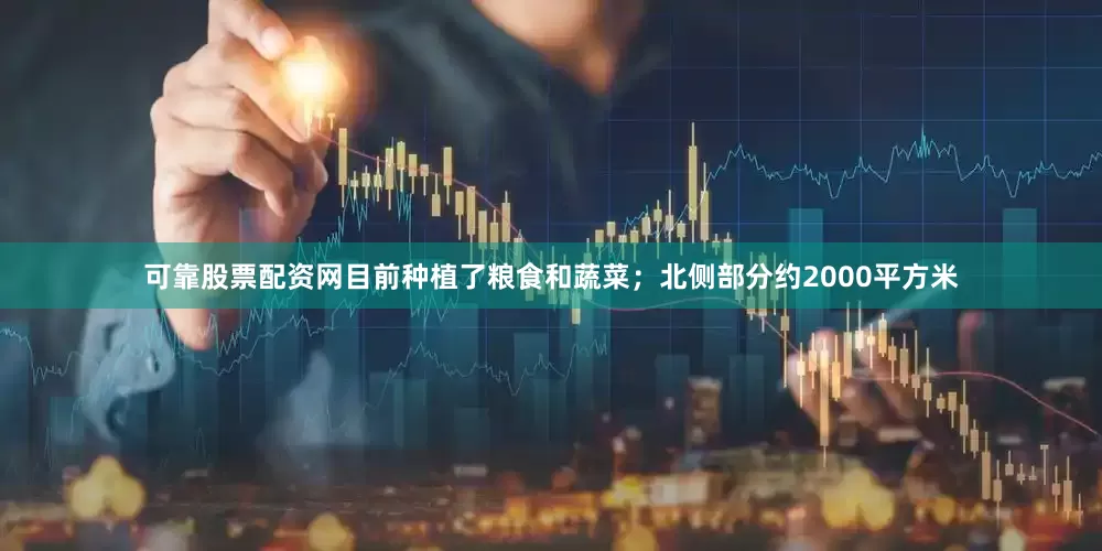 可靠股票配资网目前种植了粮食和蔬菜；北侧部分约2000平方米