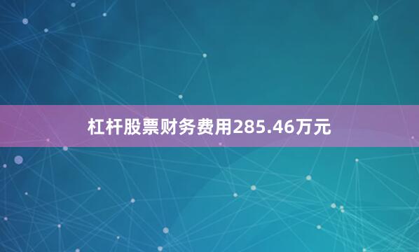 杠杆股票财务费用285.46万元