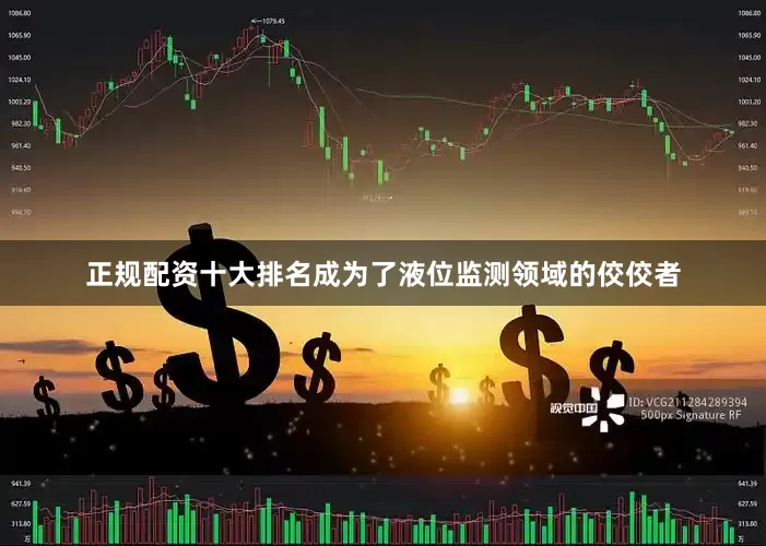 正规配资十大排名成为了液位监测领域的佼佼者
