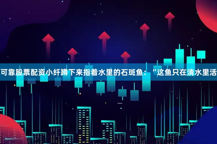 可靠股票配资小纤蹲下来指着水里的石斑鱼：“这鱼只在清水里活