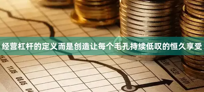 经营杠杆的定义而是创造让每个毛孔持续低叹的恒久享受