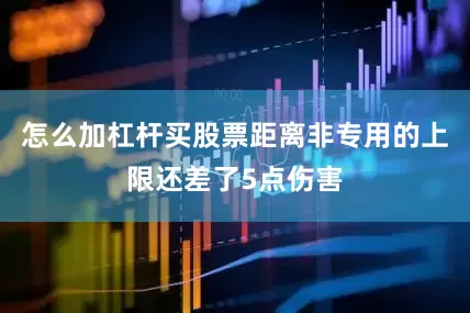 怎么加杠杆买股票距离非专用的上限还差了5点伤害