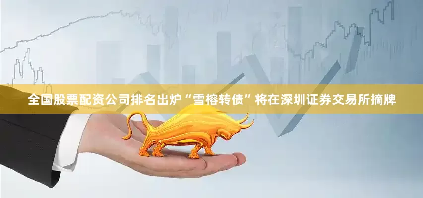 全国股票配资公司排名出炉“雪榕转债”将在深圳证券交易所摘牌