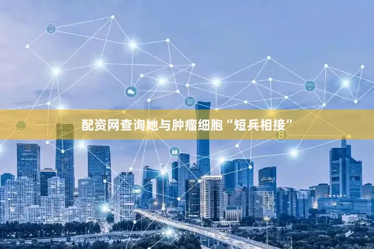 配资网查询她与肿瘤细胞“短兵相接”